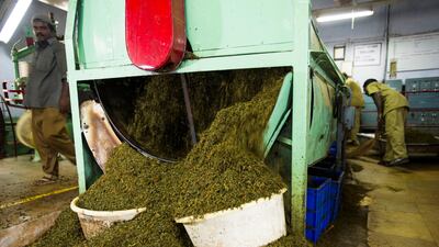 Leaf segregation machine in an orthodox production process tea factory. Simon de Trey-White for The National
