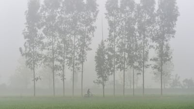 A cyclist rides across a field amid dense fog on a cold winter morning at a village in Jalandhar. AFP