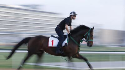 A work rider rides Epiphaneia on Tuesday during preparations for Saturday's Dubai World Cup. Ali Haider / EPA