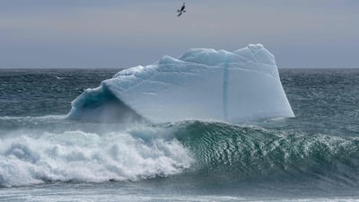 An icebergs floats in the Atlantic Ocean near the shore at Mistaken Point Ecological Reserve, Portugal Cove South, Newfoundland, Canada. AFP