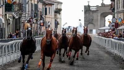 Horses gallop around the course in traditional race. All photos: Reuters