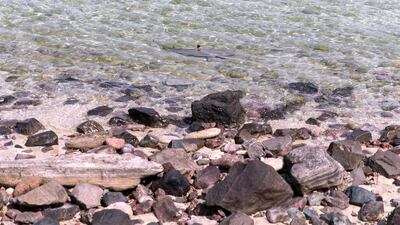 Beaches in Abu Dhabi remain shut: Reem Mohammed / The National