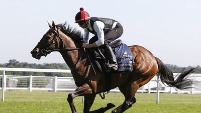 Ryan Moore riding Lady Aurelia have a track gallop at Ascot Racecourse on June 14, 2017 in Ascot, England. Getty Images
