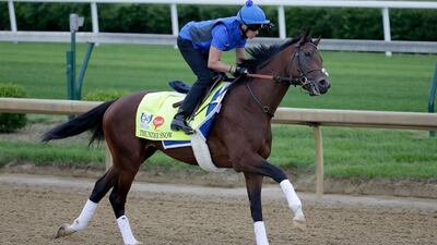 Thunder Snow runs on the track during the morning training for the Kentucky Derby. Andy Lyons / Getty Images
