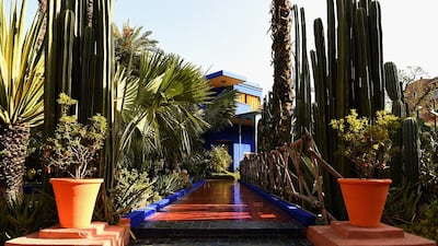 Cacti, banana and coconut trees decorate the Jardin Majorelle in Marrakech, Morocco. Getty Images