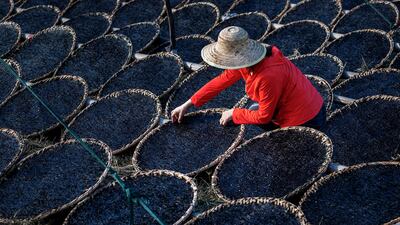 Drying seaweed in Ningbo, eastern China. AFP