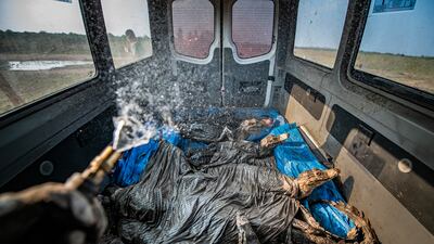 Fernando Faciole from Brazil won a silver in the Nature Photojournalism category. He took a picture of caiman (Caiman yacare) in Pantanal, Brazil
