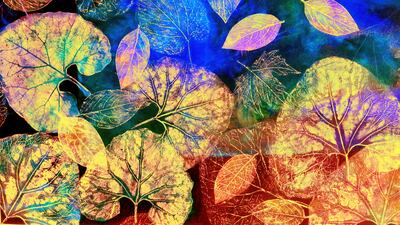 Swiss Art Gate UAE presents Equus & Folium, which features works including Summer C by Daniela Carletti (a detail, pictured). Courtesy Swiss Art Gate UAE