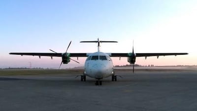 The sun shone on the nothing new Courtesy David Mattin