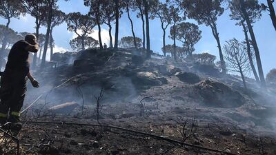 Part of a forest in northern Lebanon's Akkar region that was damaged by wildfire. Coutesy Lebanon Civil Defence