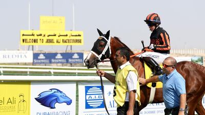 Rayig ridden by Sam Hitchcott before the Orient Irrigation Service race.