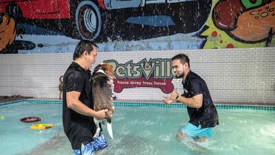 The Petsville extension is the first waterpark for dogs in the region. Antonie Robertson / The National