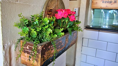 The simply designed space is brightened up with little touches like this colourful planter. Courtesy Charlie Faulkner