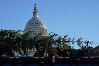 The Capitol Hill Christmas Tree arrives on a flatbed truck on Capitol Hill in Washington on Friday. AP Photo