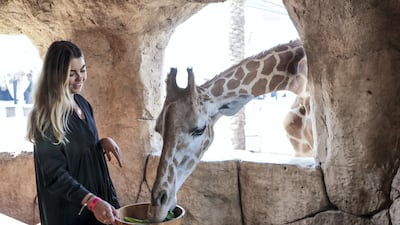 The Breakfast with Giraffes experience at Emirates Park Zoo has become its most popular. Victor Besa/The National