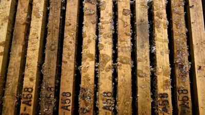 Frames of honeycomb hold honey before it is harvested at Gene Brandi Apiaries on September 4, 2014 in Los Banos, California. Justin Sullivan / Getty Images / AFP