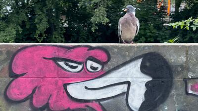 A pigeon perches above a painting of a bird on a wall in Berlin's Kreuzberg district. AFP