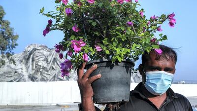 Mohammad Sulaiman, from Pakistan, has been working at the plant market for more than ten years.