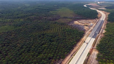 A view of the area around Samboja, Kutai Kartanegara, one of two locations proposed by the government for Indonesia's new capital. AFP
