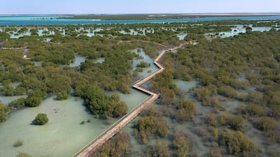 An aerial view of the Qurum Walkway in Jubail Mangrove Park, which is now open to visitors. Wam