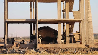 A Syrian family takes shelter under an empty building with their tent and cows in Daraa, southwestern Syria, after several days of intensified bombardment by Syrian regime forces on June 23, 2018. Syrian regime forces on Saturday made their first gains on the ground against rebel fighters in the southern province of Daraa after several days of intensified bombardment, a monitor said. Since Tuesday, regime troops have been ramping up shelling on opposition-held areas in Daraa's eastern countryside ahead of an apparent military offensive against rebels there.
/ AFP / Mohamad ABAZEED