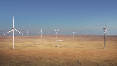 The new Green Intellectual Property programme is expected to increase the competitiveness of the UAE and attract innovators within the environmental sector. Photo: Radia