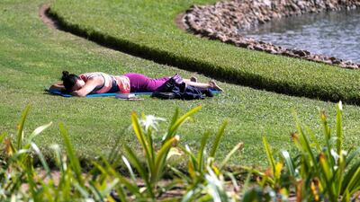 A yogi takes a rest.