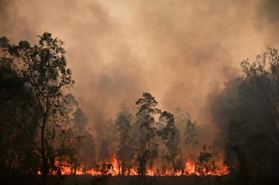 A fire rages in Bobin, 350 kilometres north of Sydney. AFP