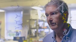 Prof Jonathan Heeney of the University of Cambridge’s department of veterinary medicine. PA
