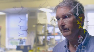 Prof Jonathan Heeney of the University of Cambridge’s department of veterinary medicine. PA