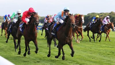 Daniel Tudhope and G Force, centre, riding to victory in the Sprint Cup at Haydock Park on September 6, 2014. Grossick Racing / Racingfotos.com