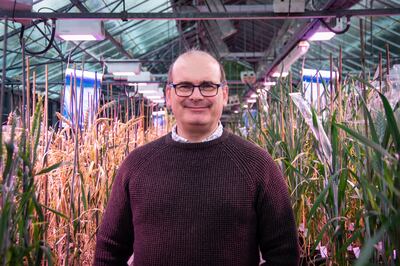 Dr Simon Griffiths who conducts research on wheat seeds from the Middle East at the John Innes Centre to protect future crops. Photo: Dr Simon Griffiths