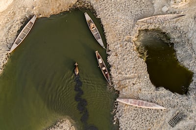 A buffalo swims near fishing boats in Iraq's receding southern marshes in Dhi Qar province. AFP