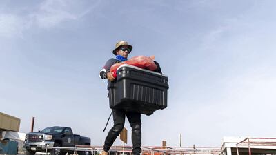 Captain Adam Alreesi from Fujairah Adventure Centre is taking volunteers out to the site every day this week, ending on Saturday