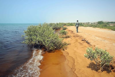 An oil slick reached the beaches and mangrove forests of Qeshm island. AFP