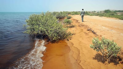 The shores of the Arabian Gulf on Qeshm Island, Iran. AFP