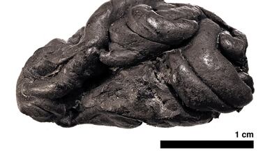 A handout photo provided by the University of Copenhagen on December 17, 2019 shows a 5,700-year-old type of "chewing gum" made from birch pitch found during archaeological excavations at Syltholm, southern Denmark. AFP PHOTO / UNIVERSITY OF COPENHAGEN / Theis JENSEN