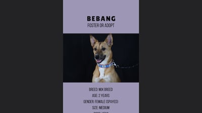 Bebang, 2, female.