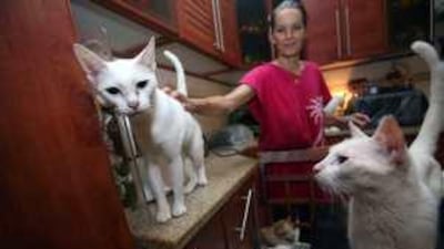 Petra Mueller, who looks after 80 rescued cats, in her Dubai home with some Arabian Maus.