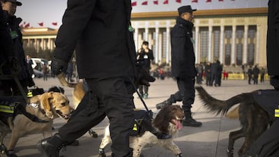 Chinese policemen walk with sniffer dogs near the Great Hall of the People. Mark Schiefelbein / AP Photo
