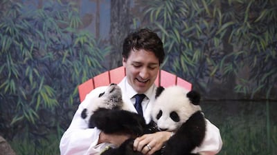 Canadian prime minister, Justin Trudeau, holds Jia Pan Pan and Jia Yue Yue, the first giant panda cubs born in Canada, during their naming ceremony at the Toronto Zoo on March 7 2016. Justin Trudeau / Twitter