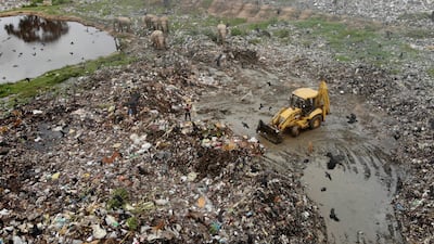 Conservationists and veterinarians are warning that plastic waste in the open landfill in eastern Sri Lanka is killing elephants in the region. AP