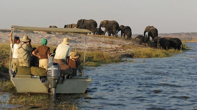 Cruising the Chobe River, Botswana - The rule of thumb in Africa is that where there’s water, there’s wildlife - and the Chobe River in Botswana is notorious for the high concentrations of animals slurping water from its banks. When hundreds of elephants go for a drink at once, the best vantage point is from on the river itself - which is where the purpose-built Zambezi Queen houseboat comes in. Courtesy of AmaWaterways