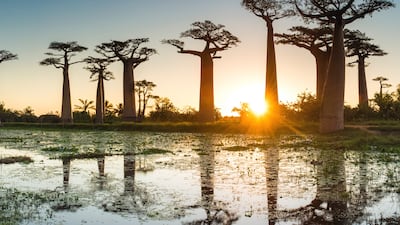 Emirates is launching flights to Madagascar. Photo: Emirates