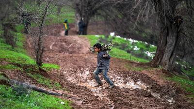 A Syrian boy carries back collected firewood as he returns to a camp for the displaced near Dayr Ballut in the northwest of Aleppo. AFP