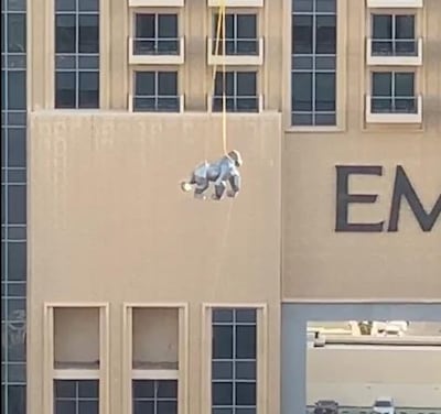 Dubai Marina resident Chloe Hilton shared footage of a giant silver gorilla statue being flown by helicopter on Sunday morning. Courtesy Chloe Hilton