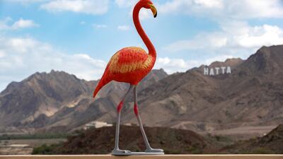 A flamingo heads to the Hatta mountains. Chris Whiteoak / The National