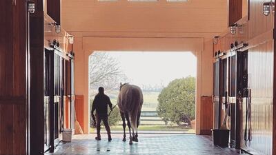 The queen visited about a dozen central Kentucky horse farms to look at thoroughbreds, including a few mares she boarded in 1989. Photo: Lane's End