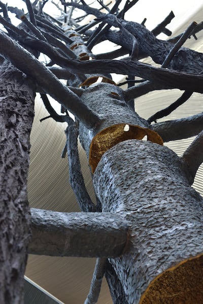 Giuseppe Penone's 'Source of Light' at Ithra