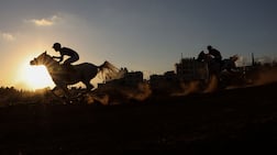 Palestinian jockeys ride during a local horse race in al-Majd, west of the Israeli-occupied West Bank city of Hebron on September 18, 2026. As open land becomes increasingly scarce amid expanding Israeli settlement construction in the occupied West Bank, horse culture has emerged as one of the rare forms of recreation that still draws Palestinians together, from urban neighborhoods to rural villages. (Photo by HAZEM BADER / AFP)